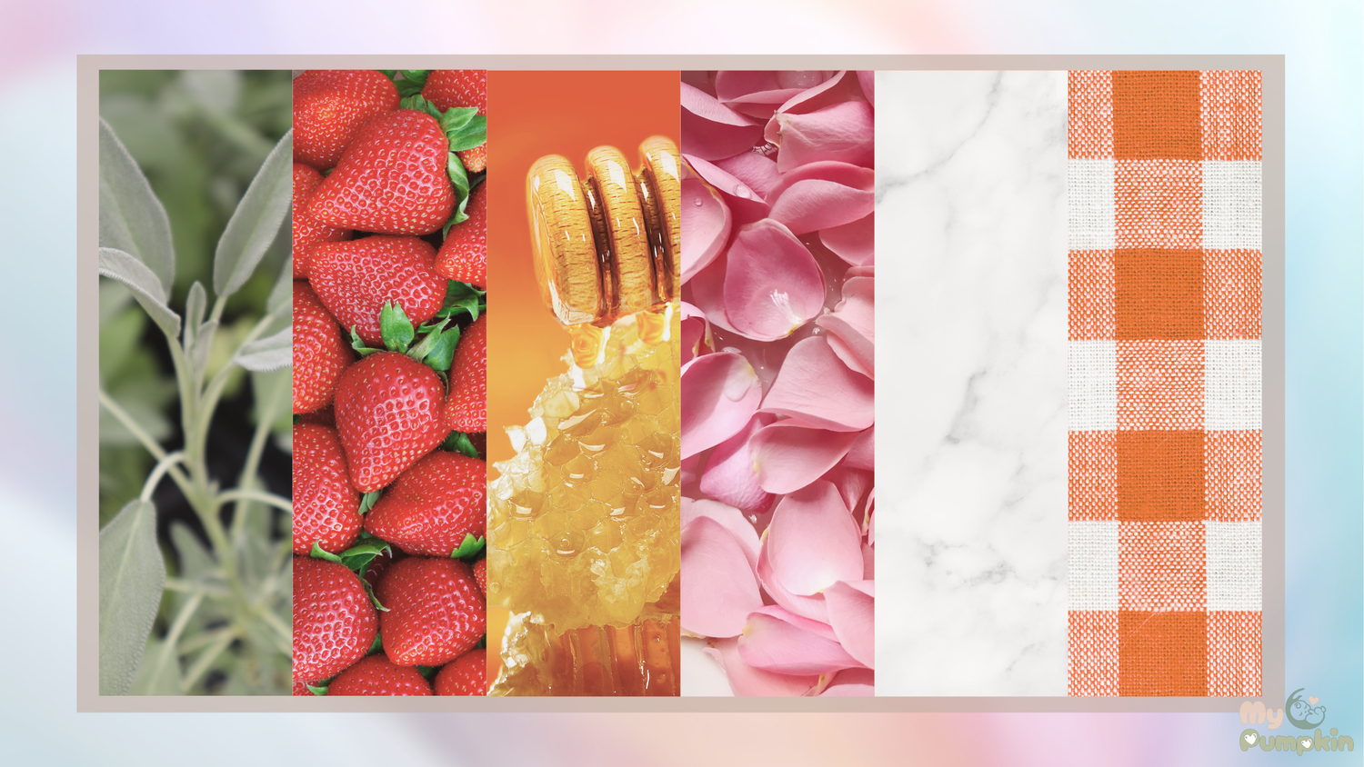 πΏ The Stories Behind Our Colors